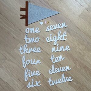 Baby milestone pennant for monthly photos